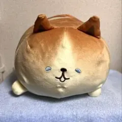 いーすとけん。 コゲットキュートBIGぬいぐるみ