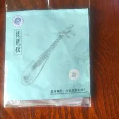 2025年最新】中国楽器 琵琶の人気アイテム - メルカリ