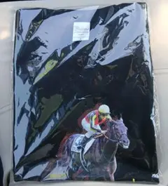 JRA】ウェルカムチャンス 特別版 クロワデュノール Tシャツ 2枚セット