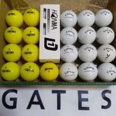 ⭐新品⭐HONMA D1⭐3個⭐ロストボール⭐21個⭐