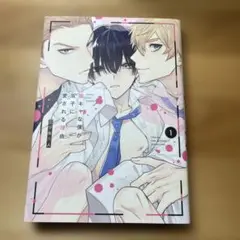 BL漫画 双子に愛される理由 1巻