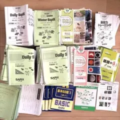 2026年最新】デイリーチェック サピックスの人気アイテム - メルカリ