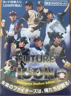 限定3000セット BBM2011 北海道日本ハムファイターズベースボールセット