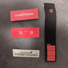 TWICE CHAERYOUNG バッジセット