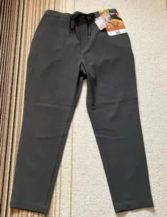 ソロテックス素材 グレー パンツ LL