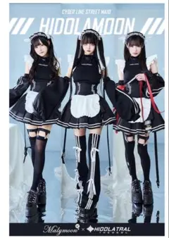 コスプレ衣装 Malymoon 2026年最新】Malymoon コスチューム・コスプレの人気アイテム - メルカリ