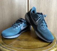【中古】Nike エアズームペガサス41SP