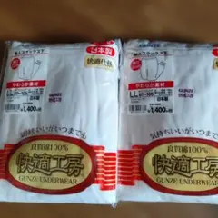 ③快適工房　GUNZE レディース 下着 スラックス下　LL 2枚セット