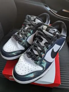 ナイキ ダンク NIKE W Dunk Low SE メンズ26.5 エナメル