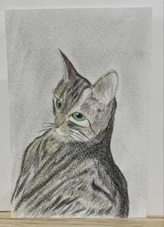孤高の眼差し　色鉛筆画 孤高の眼差し 色鉛筆画 - メルカリ