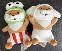 可愛い嘘のカワウソ × サンリオキャラクターズ BIGぬいぐるみ