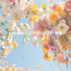 Rakutao公式アカウント01様専用