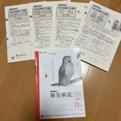 進研模試(大学入学共通テスト模試)解答解説 2023年6月号