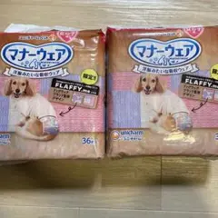 Item thumbnail for item ef9ce31d-d23e-4363-8df6-e3b82a0cfde2