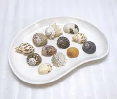 つん様 リクエスト 2点 まとめ商品