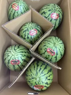 産地直送！小玉スイカ姫山笠6玉入！甘くて美味しい箱込9.キロ前後のサムネイル