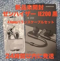 SENNHEISER IE300 & BlueFlame4.4mm - メルカリ