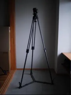 Item thumbnail for item e9a47663-c73c-4320-bc3d-62a77600b27b