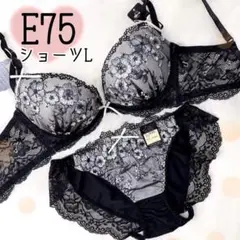 E75ダスティジュエルフラワー（黒）♥️ブラジャーショーツセット♥️ワコール系可愛い