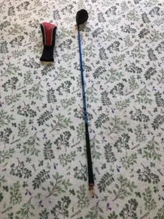 Item thumbnail for item dff13421-c513-42e2-a8a2-4171b6d69a79