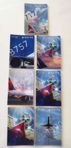 デルタ航空　トレーディングカード2枚セット　新品　レア　入手困難 デルタ航空 トレーディングカード2枚セット 新品 レア 入手困難