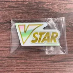 【 海外限定 】Vstar マーカー アクリル製 ポケモンのサムネイル