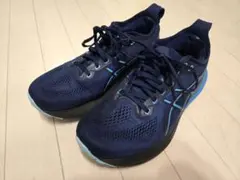 ASICS GEL-KAYANO31 WIDE 27.0