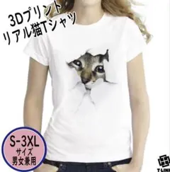 Item thumbnail for item 904fbef8-532e-4c2e-94d2-015592435aa6