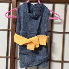 Item thumbnail for item 32cec491-e446-4b63-af9c-816bc0ea42a4