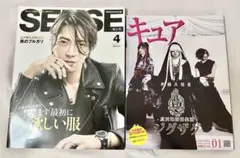 真天地開闢集団ジグザグ 雑誌セット SENSE.Cure.TOWERPLUS.他