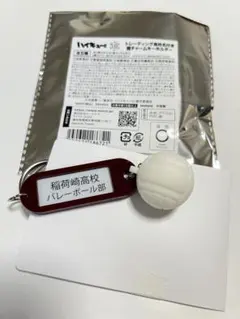 トレーディング高校名付き 鍵チャームキーホルダー