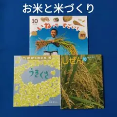 かがくのとも　ビッグサイエンス　キンダーブックしぜん　お米と米づくりの絵本