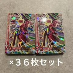 ドラゴンクエストダイの大冒険 クロスブレイド マァム S2-016 ３６枚セット