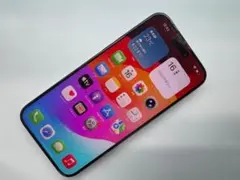 け*い様 公式 Apple iPhone 15 Pro Max 512GB ジャ