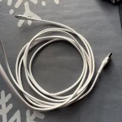 iPhone 充電ケーブル