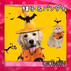 ペット用 ハロウィン コスチューム 帽子 バンダナ セット 犬 猫 オレンジ