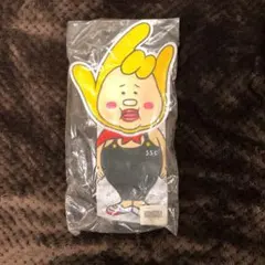 ソナーポケット　ソナポケマン　チケットホルダー