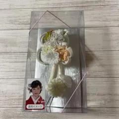 ☆新品❗️和装髪飾り（成人式・卒業式）☆