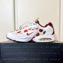 [極美品] NIKE AIR MAX TRIAX NIPPON トライアックス