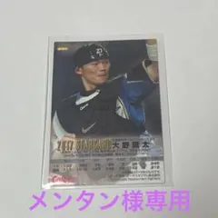 プロ野球チップス2017 大野奨太