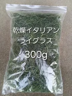 Item thumbnail for item 7cb7a64b-3cac-49d4-95e0-d823ce17135a