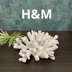 H&M home コーラルスカルプチャー ディスプレイのサムネイル