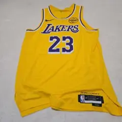 Nike Los Angeles Lakers LeBron James 23