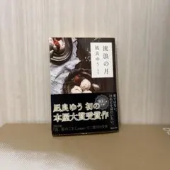 流浪の月 凪良ゆう 本屋大賞受賞作　小説