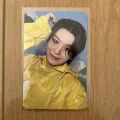 HEAVEN carat盤　ウジ