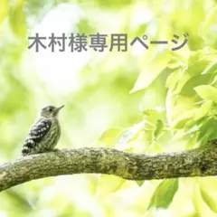 ご依頼主様　専用ページ