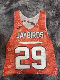 Item thumbnail for item 8be63f73-1a25-4d38-ac1f-0b132fa79132