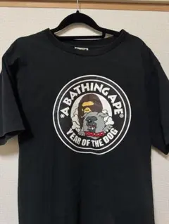 Item thumbnail for item 45343a3d-6734-4f05-8ae4-e55aa981c2ac