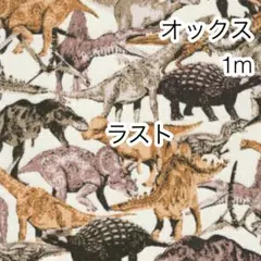 ラスト 1m ダイナソー アイボリー オックス