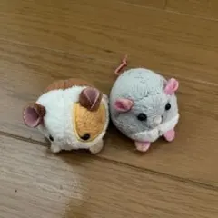 Item thumbnail for item 3ebff0b2-2cba-4ed9-aef3-1c1abcffd770